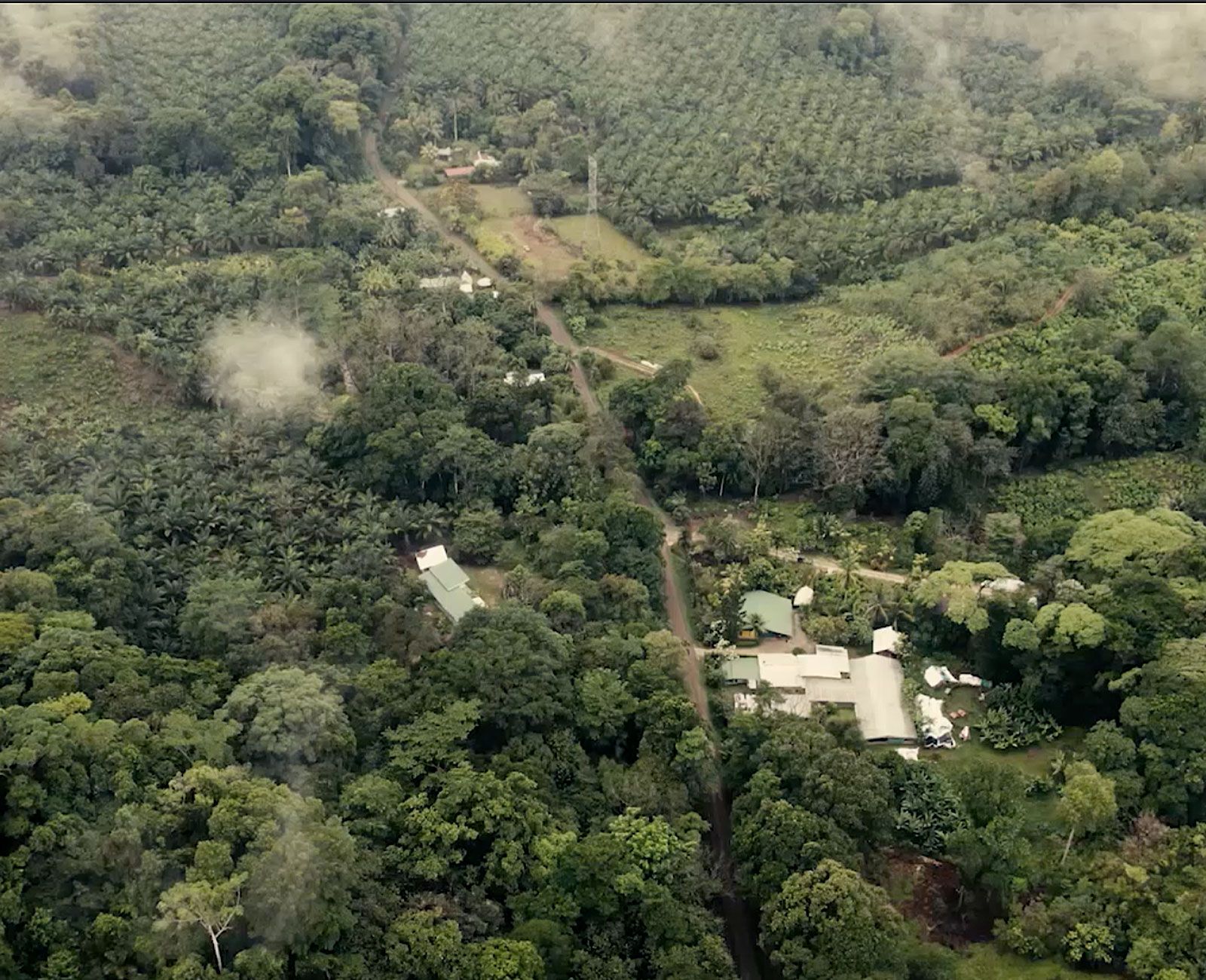 Pura Vida Kakao Plantage