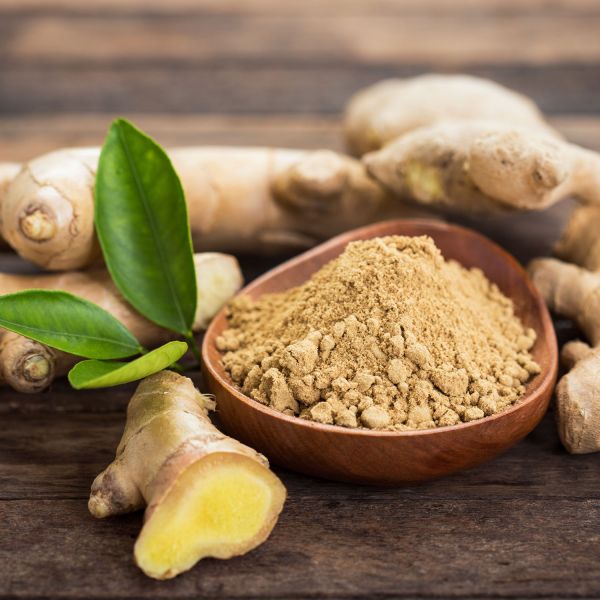 Medicinal plants - Ginger