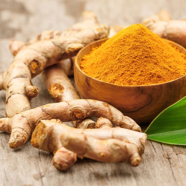 Medicinal plants - Turmeric