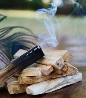 Maderas de incienso de Palo Santo