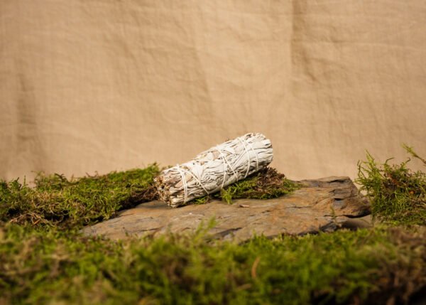 <b> Lot d'encens sauge blanche </b>  De Californie, patrie de la salvia apiana