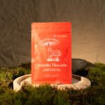 Amanita Muscaria séchée