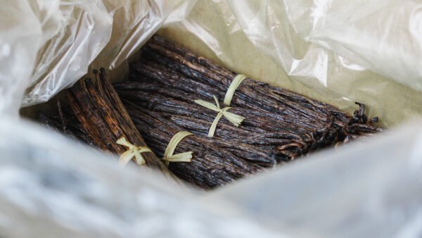 <b> Edel Bio Vanillepulver, Pulver </b>   Vanilla Planifolia Von Alor, Indonesien - Image 2