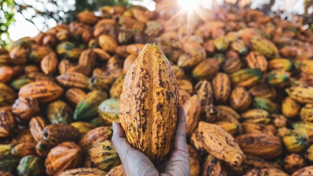 Madagaskar kakao
