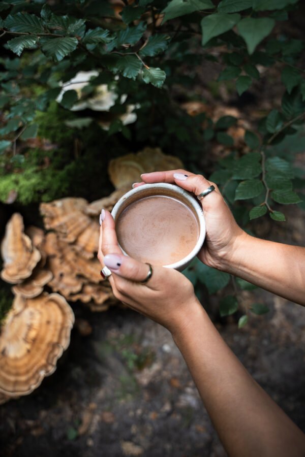 <b>Shroom Cacao</b> <br> eine kraftvolle Mischung für Energie und Wohlbefinden - immagine 2