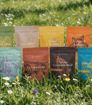 <b>8 Schätze Bundle</b> <br>Eine Reise zu den Ursprüngen