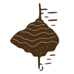 chaga_transparent